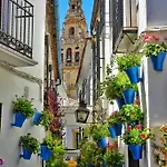Apartamento El Arcangel De Cordoba